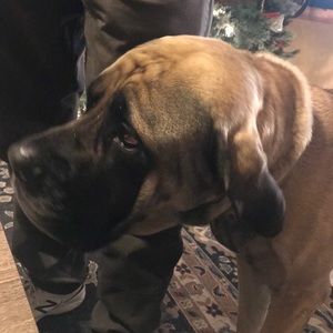 Meet your Posher, Kathleen